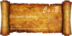 Csipes Barna névjegykártya